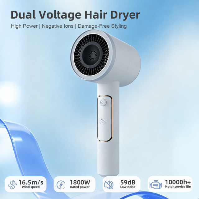 HP-304 High Wind Power Dual-Voltage-Haartrockner