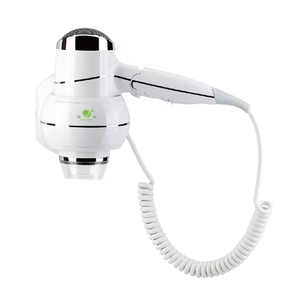 Asciugacapelli a parete con motore a corrente continua pieghevole ad alta potenza in plastica ABS da 2000 w ad alta potenza con ugello concentratore