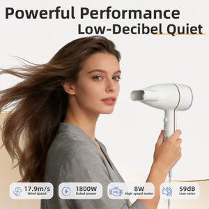 Secador de pelo compacto dom&eacute;stico SG-05 de alta potencia e&oacute;lica