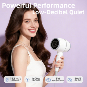S&egrave;che-cheveux domestique l&eacute;ger haute puissance SG-06B