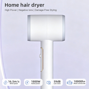 S&egrave;che-cheveux &agrave; ions n&eacute;gatifs &agrave; s&eacute;chage rapide domestique HP-301